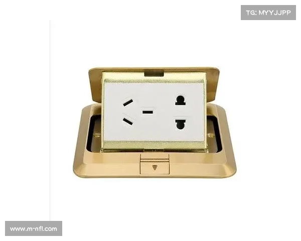 诺里斯423分首夺F1车手总冠军，维斯塔潘421分屈居亚军