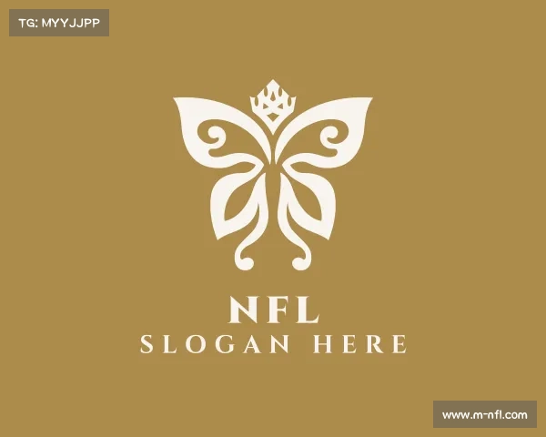 认识nfl